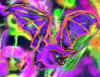 1Batjazz1a.jpg (75535 bytes)