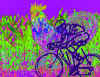 1Chikbike.jpg (167307 bytes)